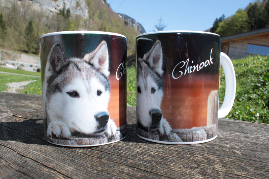 Husky-Tasse Shop Artikel